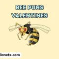 Bee Puns Valentines