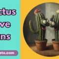 Cactus Love Puns