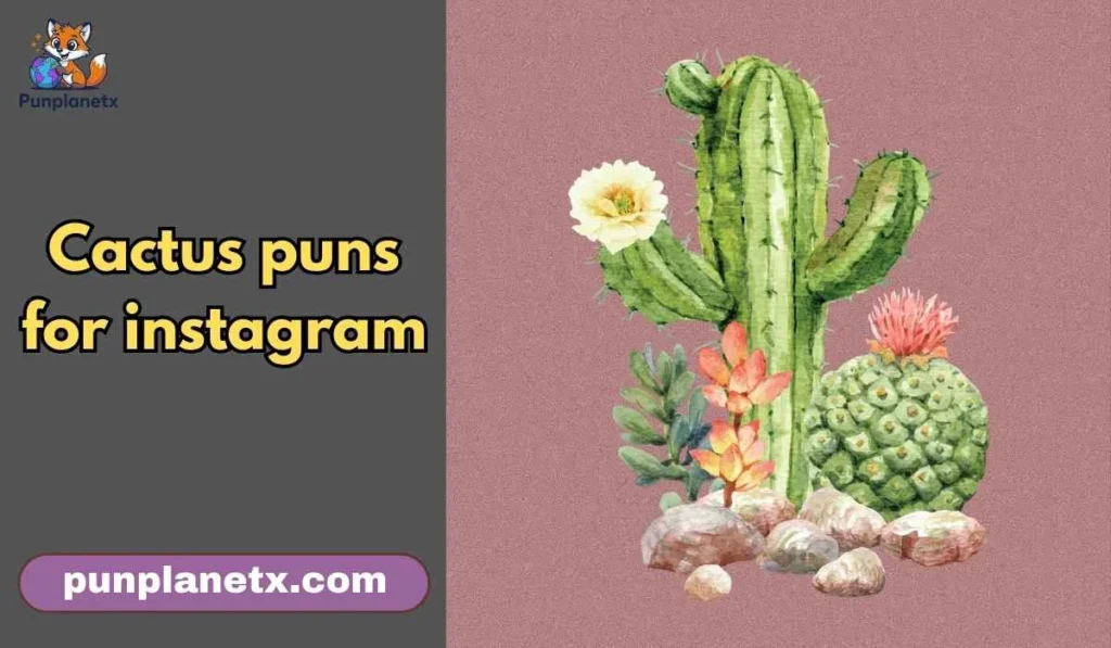 Cactus puns for Instagram