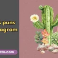 Cactus puns for Instagram