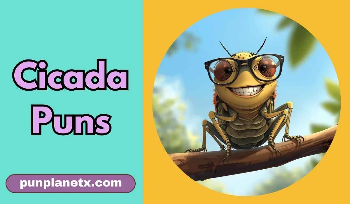 Cicada Puns