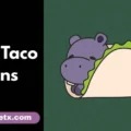 Cute Taco Puns
