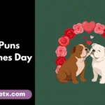 Dog Puns Valentines Day