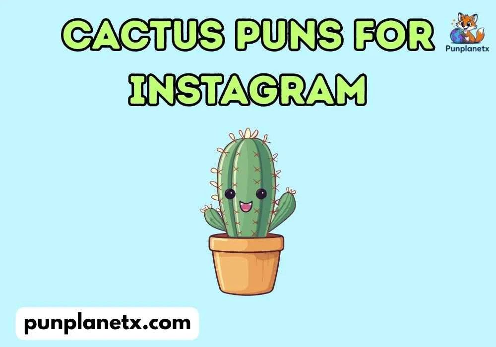 Funny cactus puns for instagram Puns