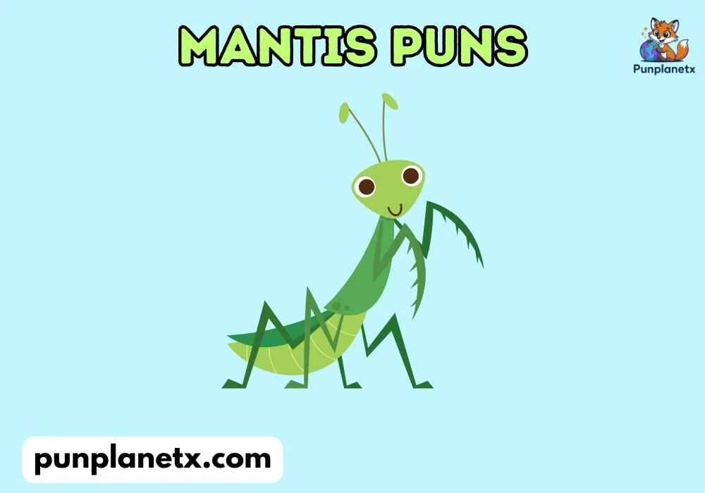 Funny Mantis Puns