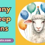 Funny Sheep Puns