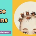 Lice Puns