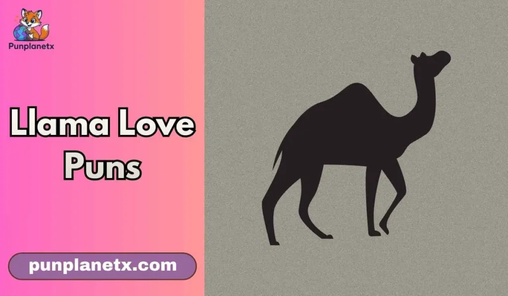 Llama Love Puns