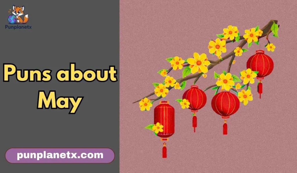 puns about May
