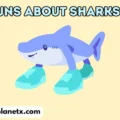Puns About Sharks