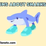 Puns About Sharks