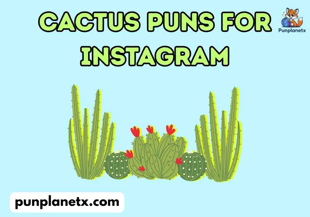 Silly cactus puns for instagram Puns