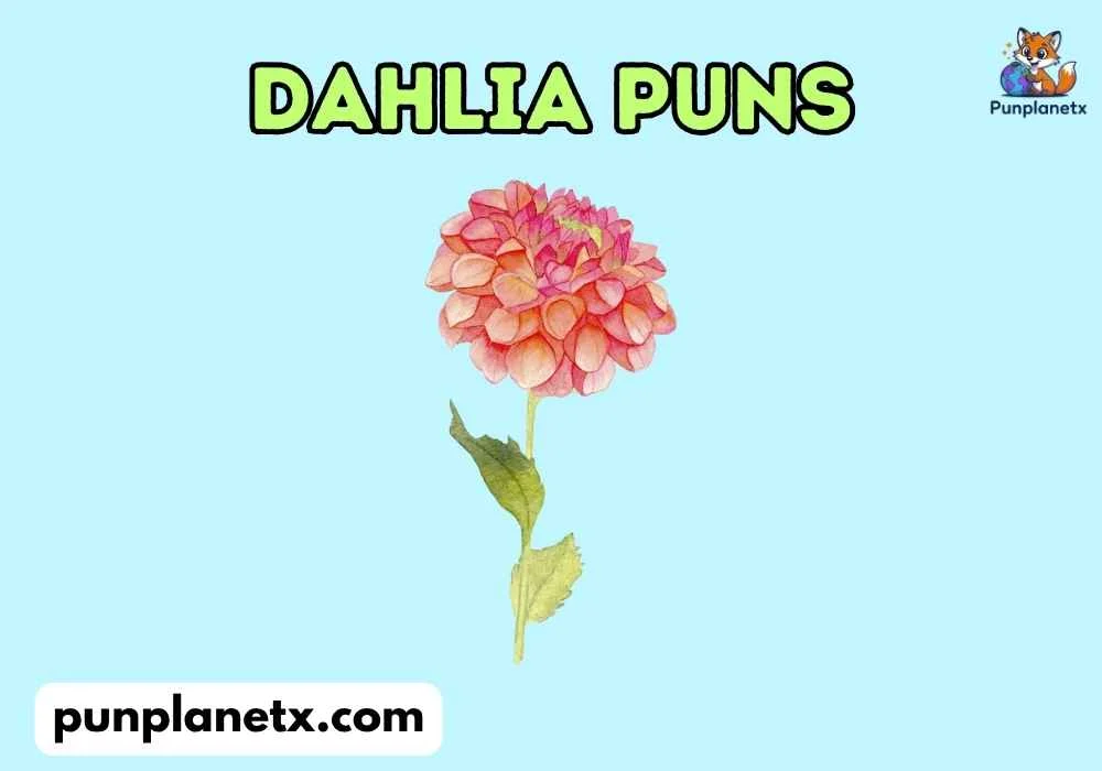 Silly Dahlia Puns
