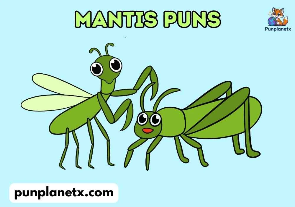 Silly Mantis Puns
