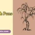 Branch Puns
