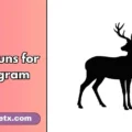 deer puns for instagram