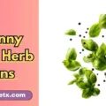 Funny Basil Herb Puns