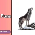 Howl Puns