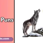 Howl Puns