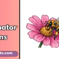 Pollinator Puns