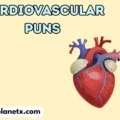 Cardiovascular Puns