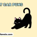 Cat Car Puns