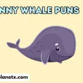 Funny Whale Puns
