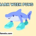 Shark Week Puns