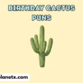 Birthday Cactus Puns