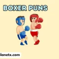 Boxer Puns