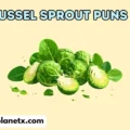 Brussel Sprout Puns