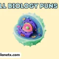 Cell Biology Puns