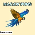 Macaw Puns