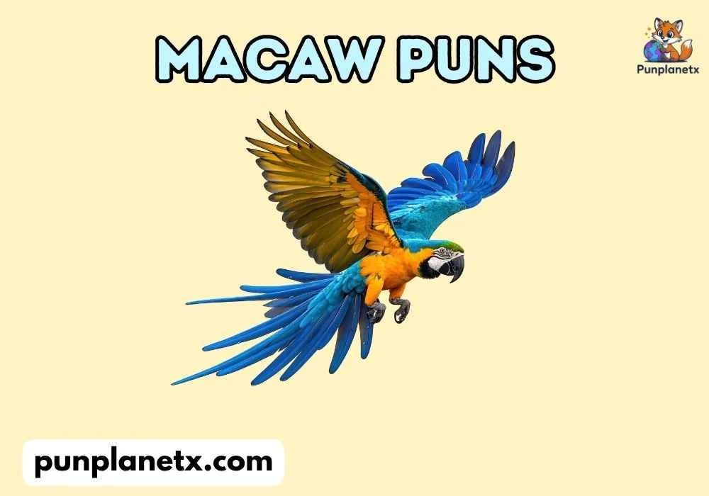 Macaw Puns