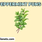 Peppermint Puns