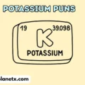 389+ Hilarious potassium puns for epic laughs 2026