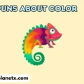 367+ Puns about color Hilarious & Bright Laughs 2026