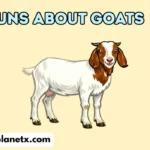 puns about goats