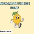 Romantic Lemon Puns