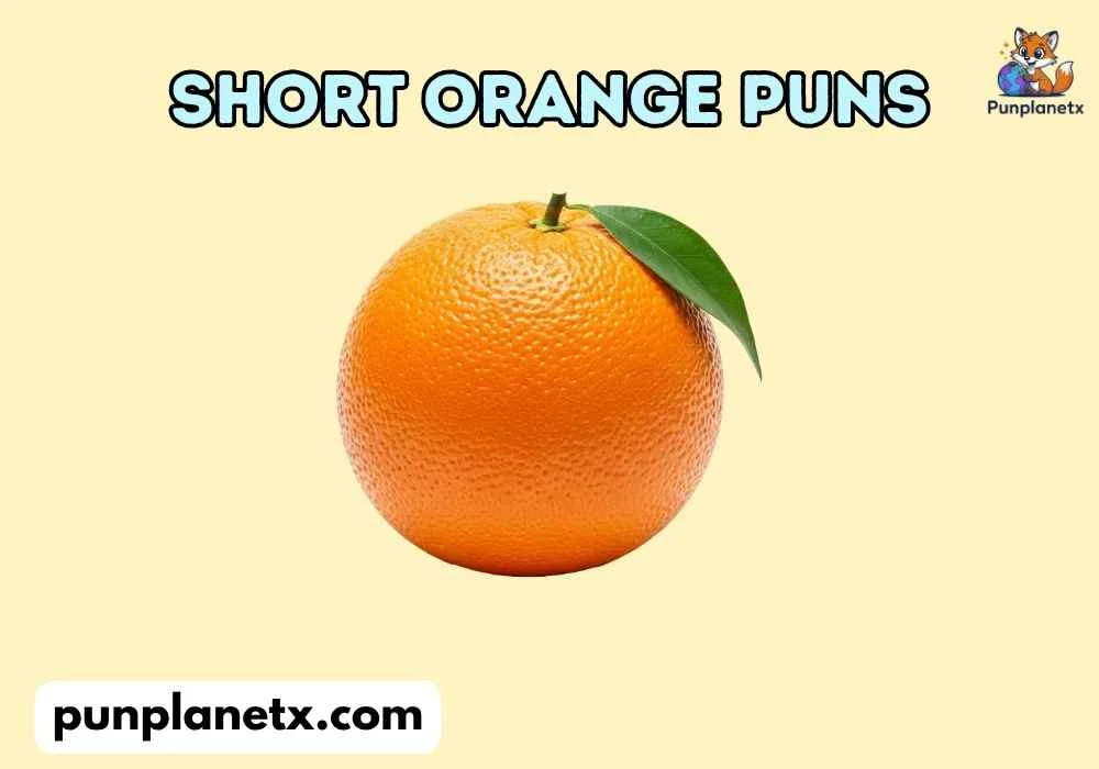 Short Orange Puns