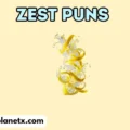 zest puns