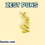 zest puns