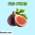 fig puns