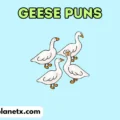 geese puns