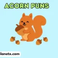 acorn puns