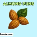 almond puns