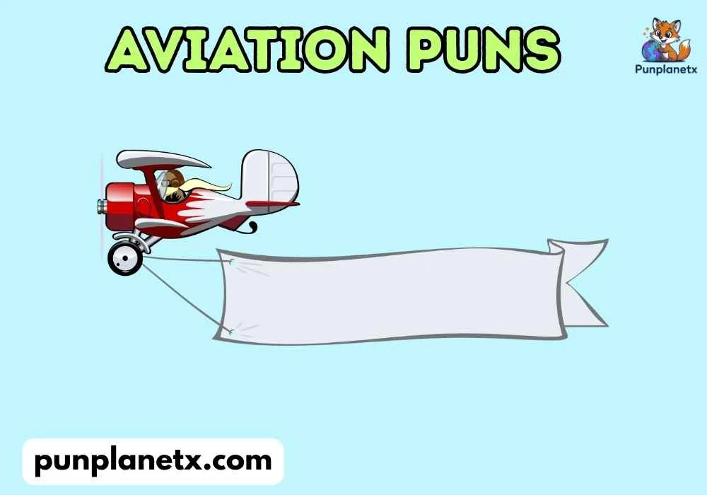 aviation puns