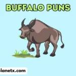 buffalo puns
