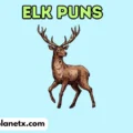 elk puns