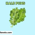 kale puns
